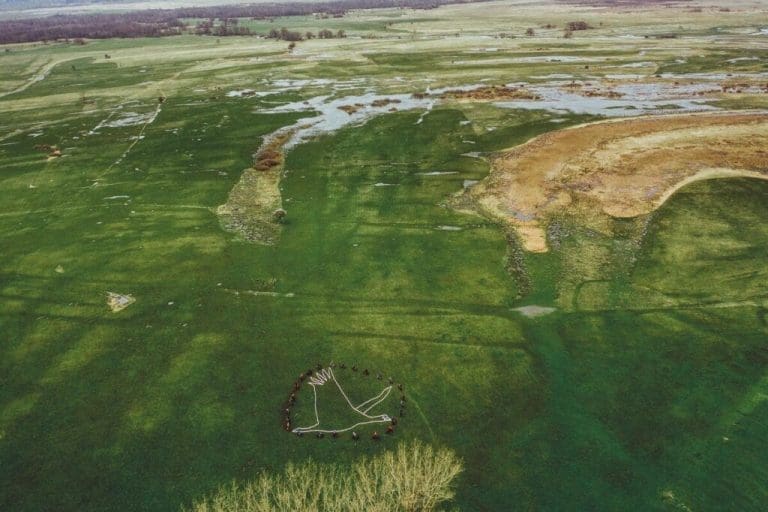 Danas je Međunarodni dan biodiverziteta: Što prije zaštititi Gornju Neretvu i Livanjsko polje
