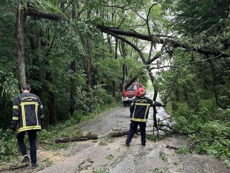 Nevrijeme u Stanarima, vjetar lomio grane s drveća