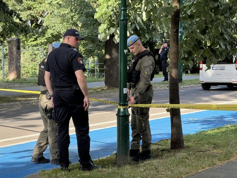Ubijeni Anel Kršo u kaznenoj evidenciji ima devet pravosnažnih presuda za različita djela
