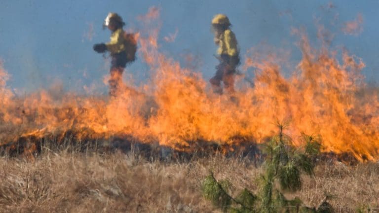 Naredba za evakuaciju u Los Anđelesu zbog širenja vatrene stihije