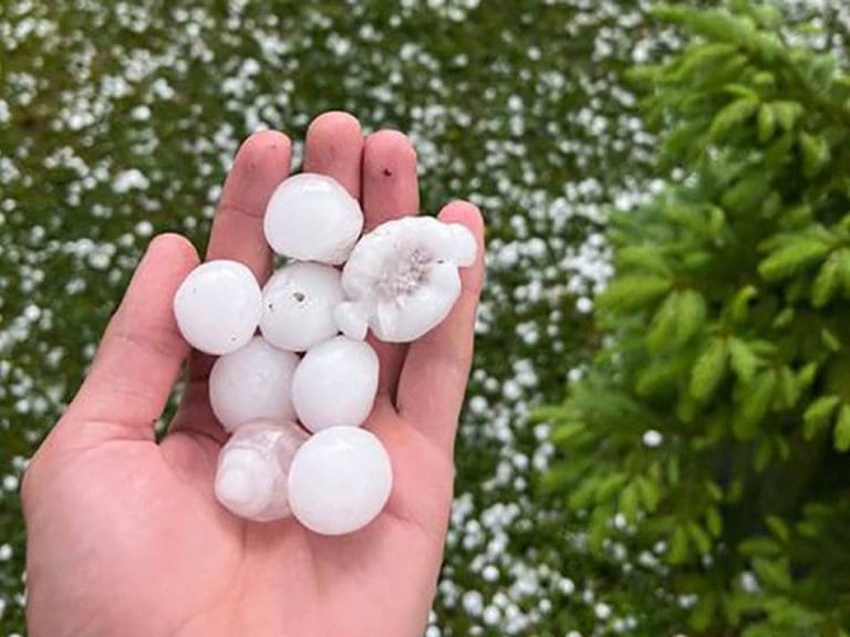 Uništeni usjevi i voće: Grad veličine jajeta opustošio Bratunac