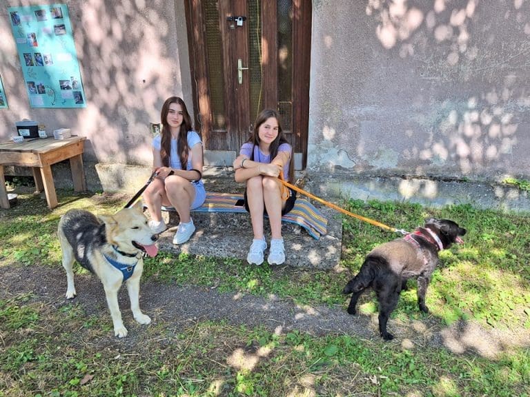 Dan ispunjen humanošću: Skupljeno 1.884,3 KM na Psećem bazaru
