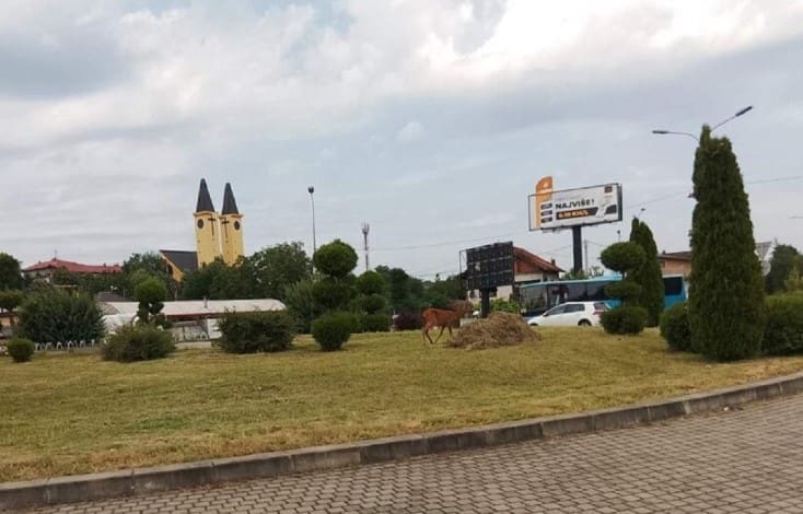 Lane usred kružnog toka u Banjaluci