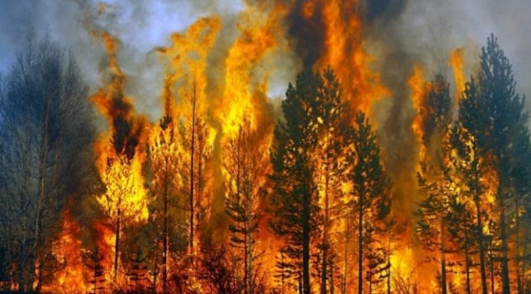 BJESNE POŽARI U MAKEDONIJI: Sve gori zbog ekstremno visokih temperatura