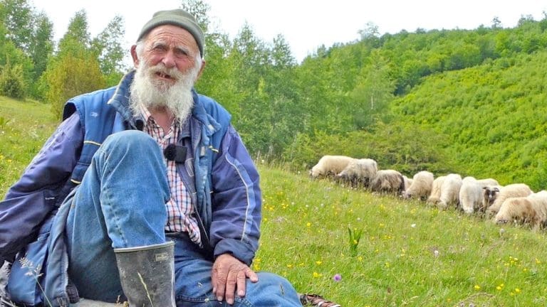 VIDEO Hajvan je pametniji od insana, tvrdi najstariji ovčar u BiH