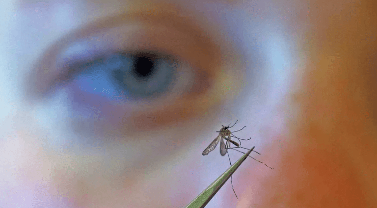 Tajanstveni virus Stigao u Evropu i ubrzano se širi: 70 godina izazivao je blage simptome, sada je ubio dvije mlade žene