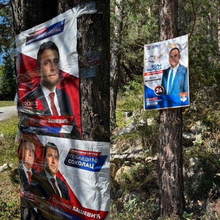 Uprkos kaznama i do 30.000KM kandidati i stranke i dalje lijepe plakate na stabla i stubove javne rasvjete