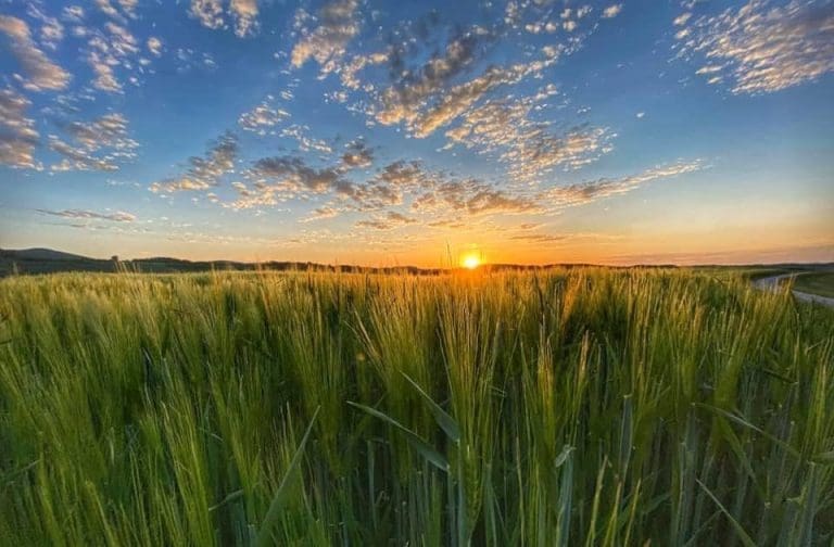 Objavljena vremenska prognoza do 18. jula, jeste li spremni?