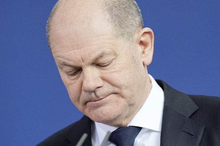 Potop Šolca, AfD osvaja 142 mandata