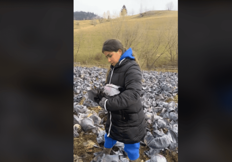 Tamara, majka 7 djece, koja uzgaja kupus odlučila da odgovori onima koji kude zbog cijene