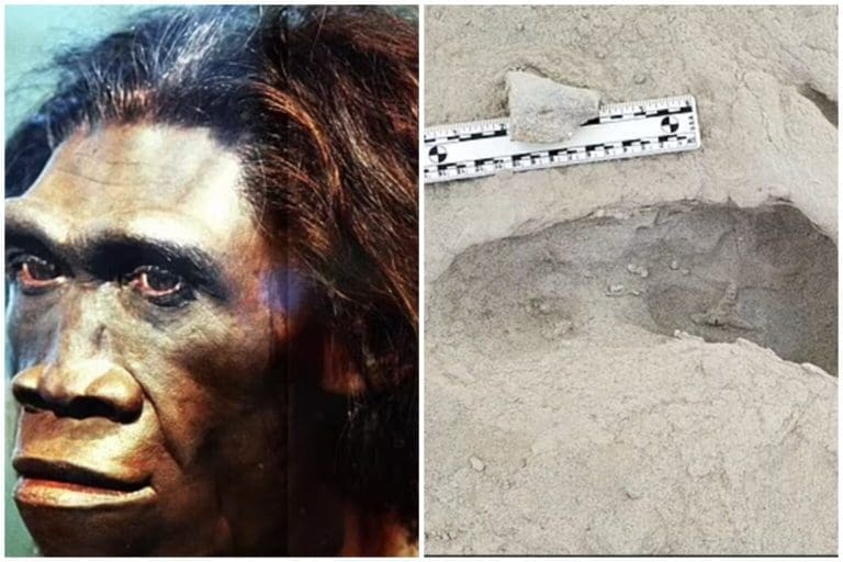 Otisci stopala stari 1,5 miliona godina pronađeni u Africi otkrivaju tajne o ljudskoj evoluciji