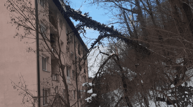 Na petospratnicu u Gračanici pao hrast težak nekoliko tona: Zatresla se cijela zgrada, stakla letjela na sve strane