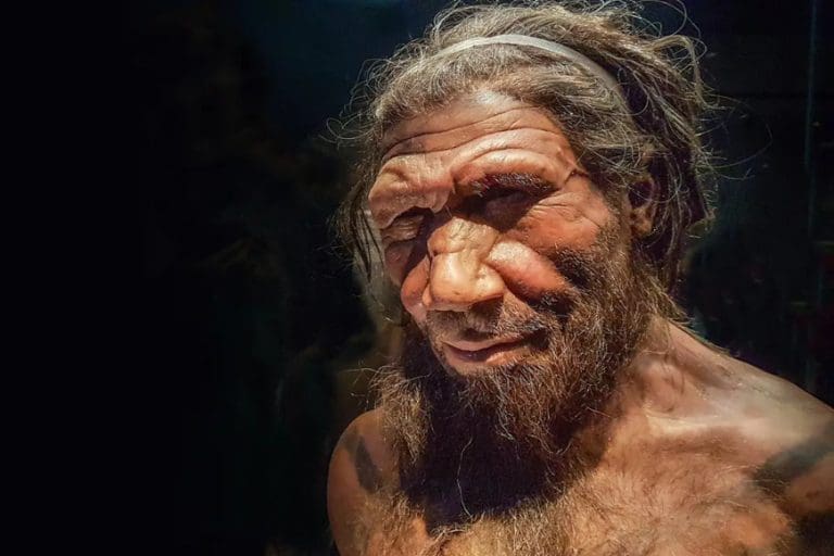Ljudi su izgleda zamalo izumrli prije 900.000 godina. Šta se dogodilo?