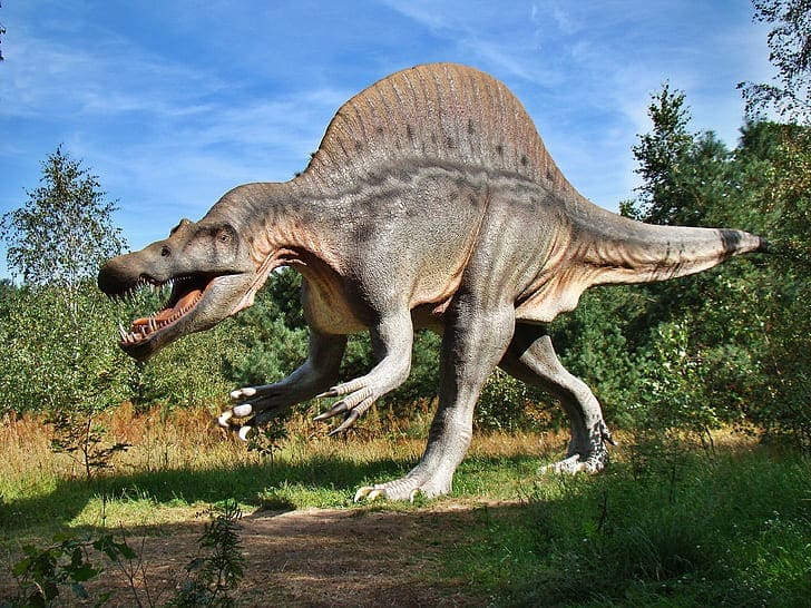Poništena nabavka Glavnog projekta Dino parka na Šehitlucima