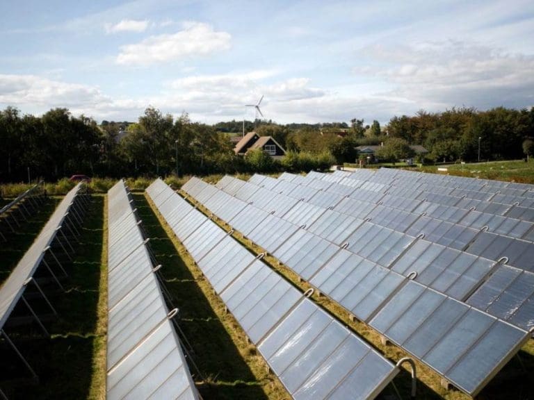 Mogli bismo da promijenimo način na koji uzgajamo hranu: Kako nam u tome pomažu solarni paneli?