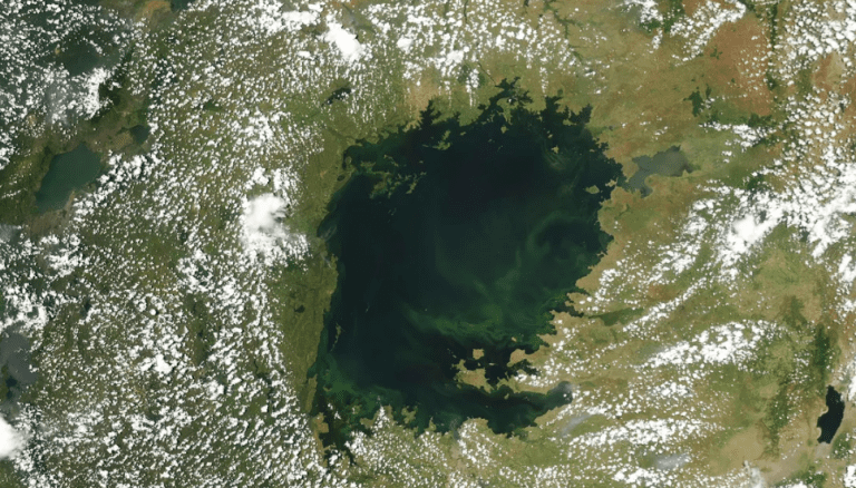 Najveće tropsko jezero na svijetu postaje zeleno, a to je prestravilo naučnike: Evo i zašto