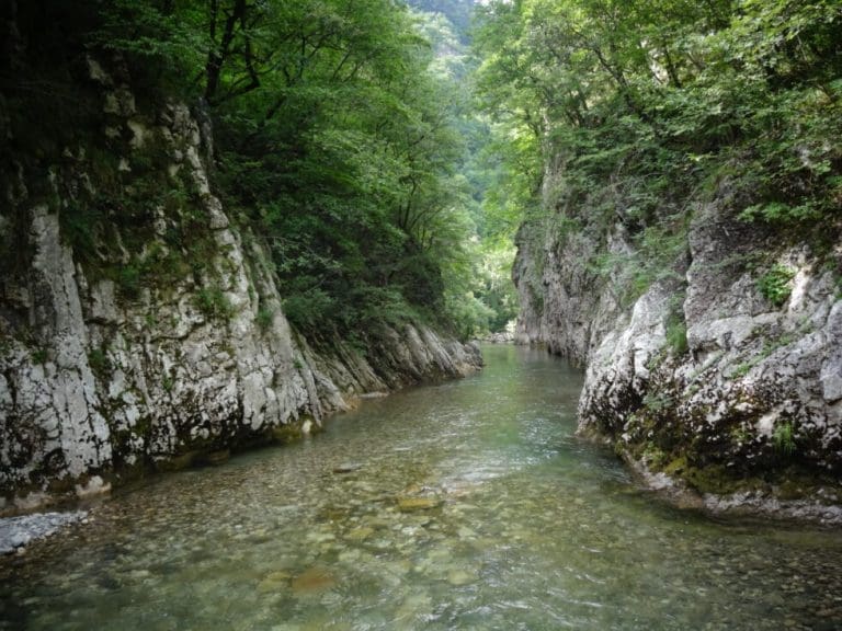 Vlada RS predala NP „Sutjeska“ firmi povezanoj sa Rufijem: Potpisan ugovor vrijedan 70 miliona KM
