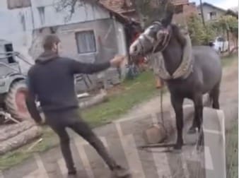 Užas u Prijedoru: Snimak brutalnog premlaćivanja konja izazvao lavinu osuda (UZNEMIRUJUĆI VIDEO)