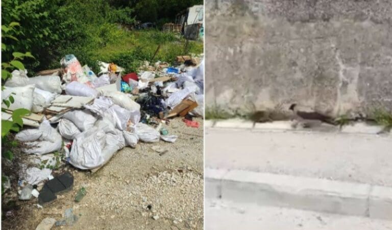 Kanton Sarajevo u velikim problemima: Nakon leptospiroze pojavila se i bruceloza