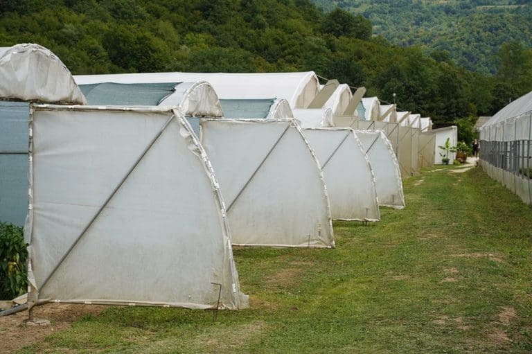 Plastenik, po plastenik, do pametne farme: Kako je zadruga iz Konjević Polja postala simbol moderne poljoprivrede u BiH