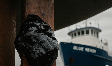 Naučnici u šoku: Misteriozni oblik života pronađen u katranu