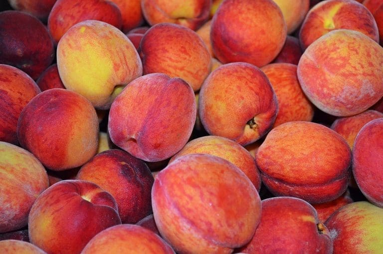 Na tržištu BiH opasni pesticidi u breskvama iz Albanije: Male količine mogu izazvati poremećaje u razvoju mozga i kognitivnih funkcija kod djece!