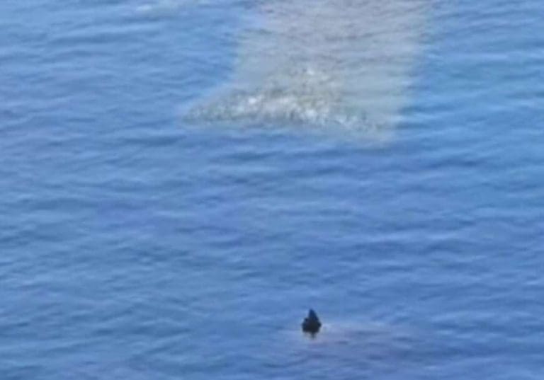 Misterija u moru Crne Gore: Snimak “nečega što vri i ide ka plićaku” uplašio turiste