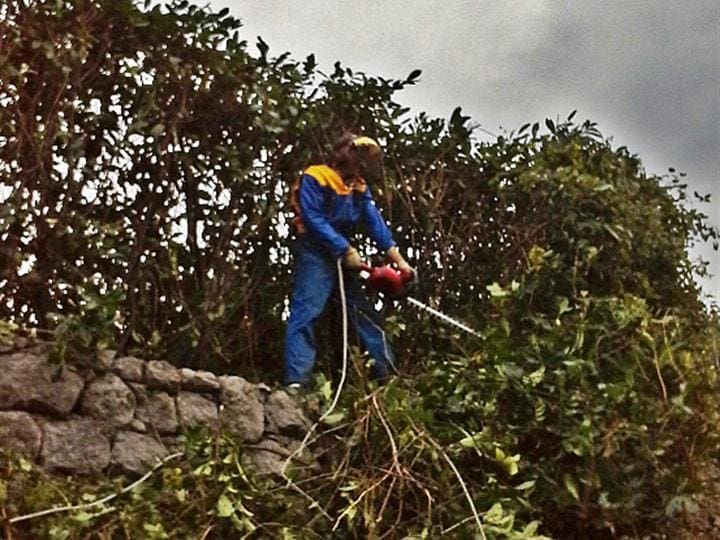 Dijaspora da se pripazi: Šta je dozvoljeno, a šta donosi kaznu i do 100.000 evra ako namjeravate da krčite živicu ili žbunje