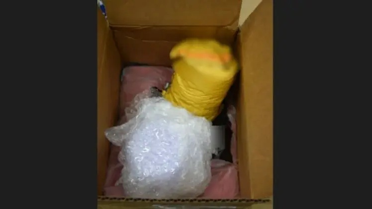 Poštom naručio paket iz SAD, pošiljka šokirala policiju u Zagrebu: Evo šta su našli