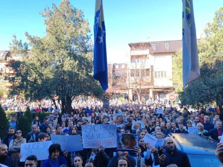 Goražde: Dječaka napali psi lutalice, stotine građana izašlo na ulice u znak protesta