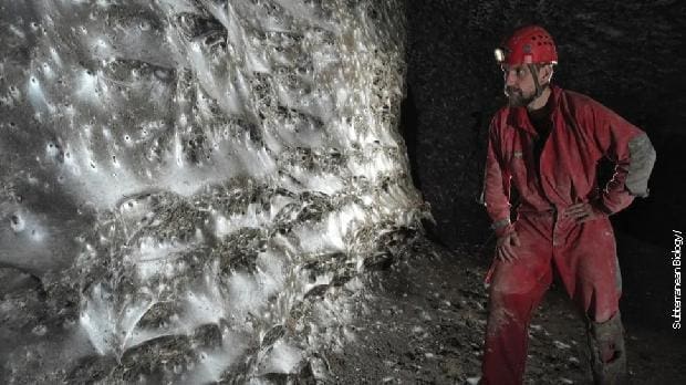 Kolonija koja fascinira naučnike: Više od 111.000 jedinki u mračnoj pećini