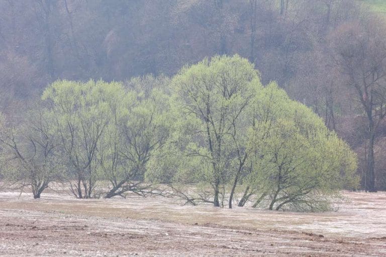 KIŠA, SNIJEG I ODRONI PARALISALI MAJEVICU: Put Ugljevik-Lopare odsječen, vodostaji u porastu, mještani u strahu