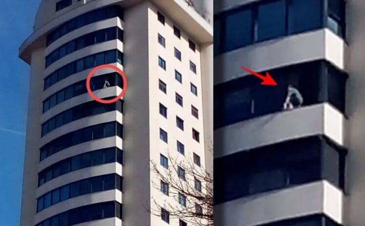 Tuzla: Žena rizikovala život čisteći prozor na visokom spratu zgrade bez zaštite