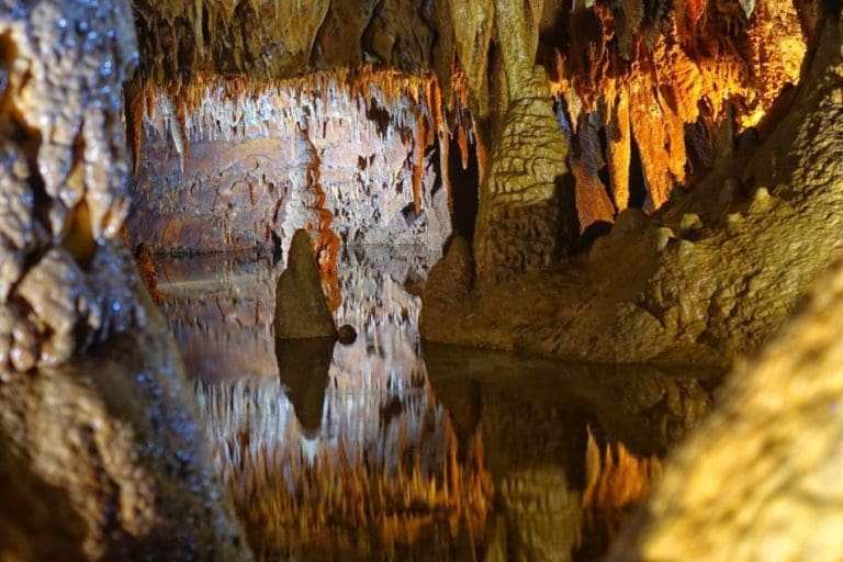 Šta još skriva jama u Istri? U njenim najvećim dubinama živi vrsta koja je evoluirala u ekstremnim uslovima