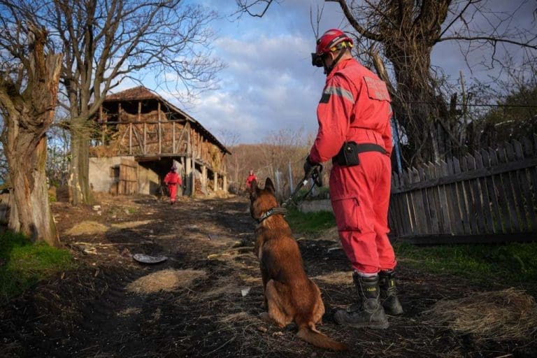 Srbija: Produžen pritvor osumnjičenima za ubistvo dvogodišnje djevojčice