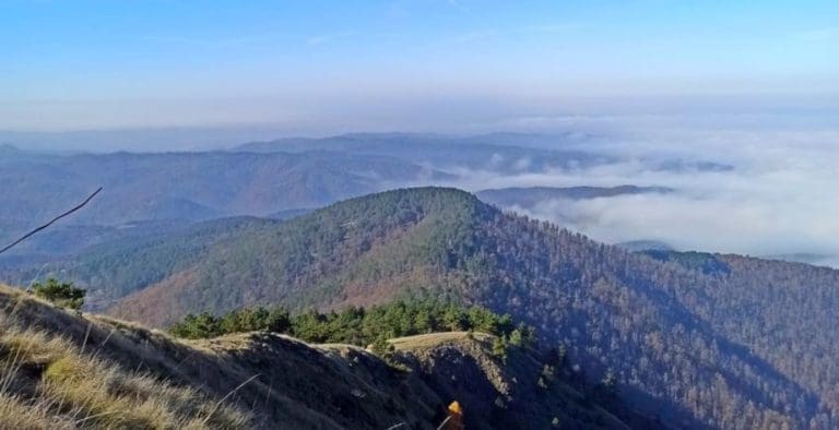 Referendum u Petrovu: Građani sutra odlučuju o geološkim istraživanjima metala na Ozrenu