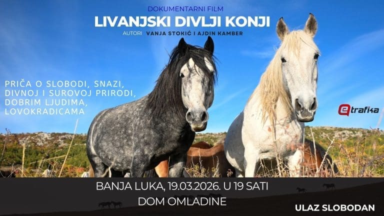Banjaluka: Projekcija filma o livanjskim divljim konjima u četvrtak u Domu omladine