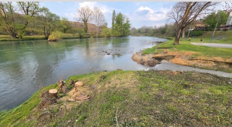 Gradska uprava o posječenim stablima na obali Vrbasa: Razrješen nadzor, zasadiće se 50 novih vrba