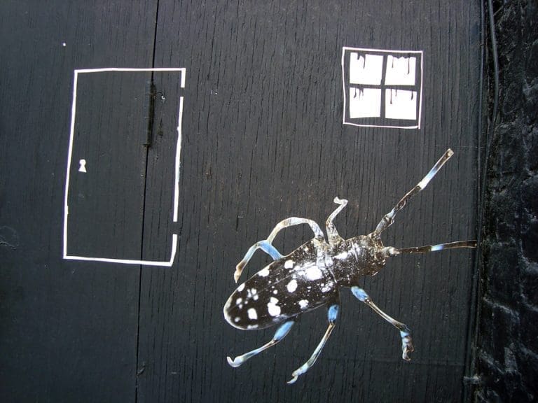 Da li bi Gregor Samsa mogao biti Srbin?